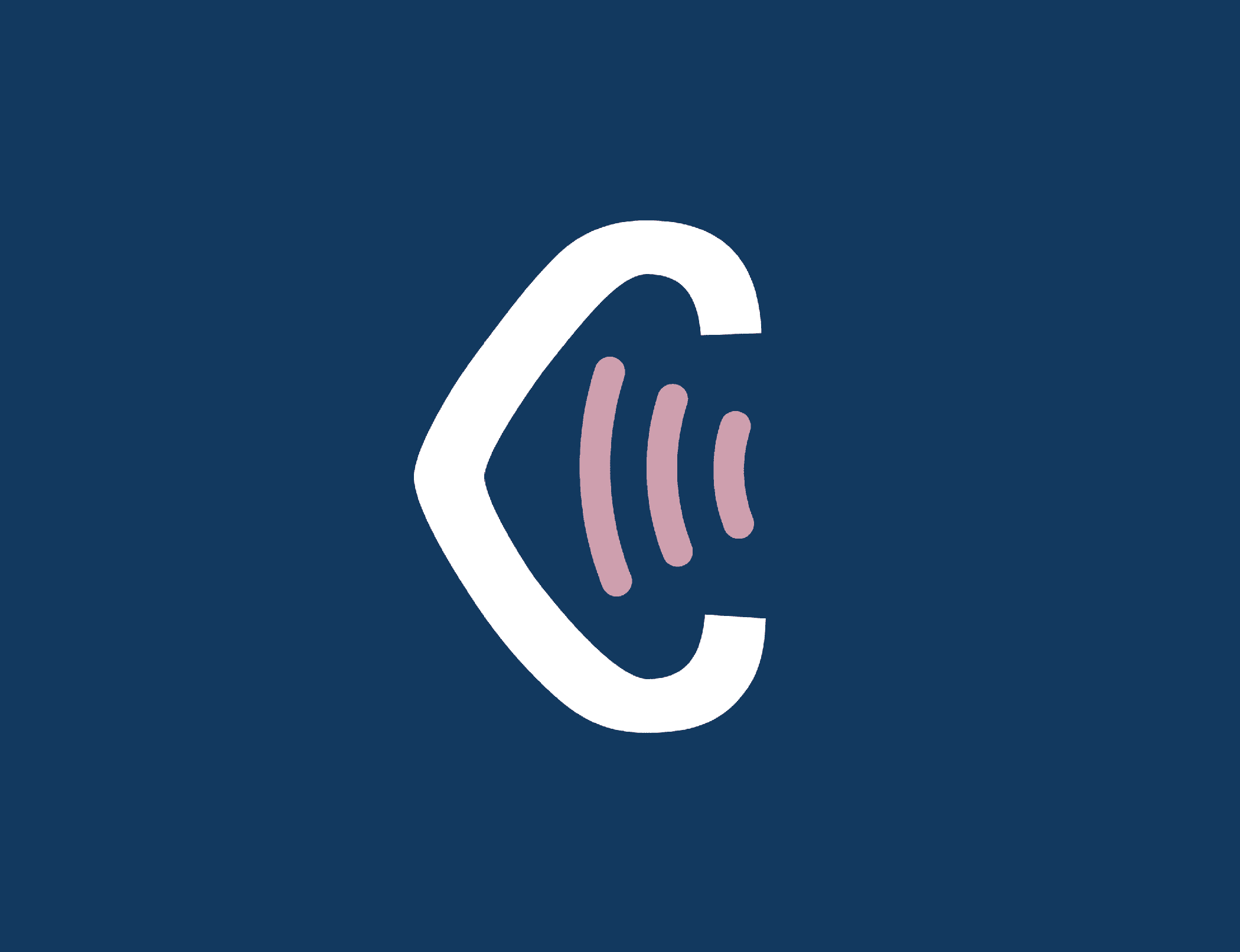 Crescendo Brand Guidelines 5