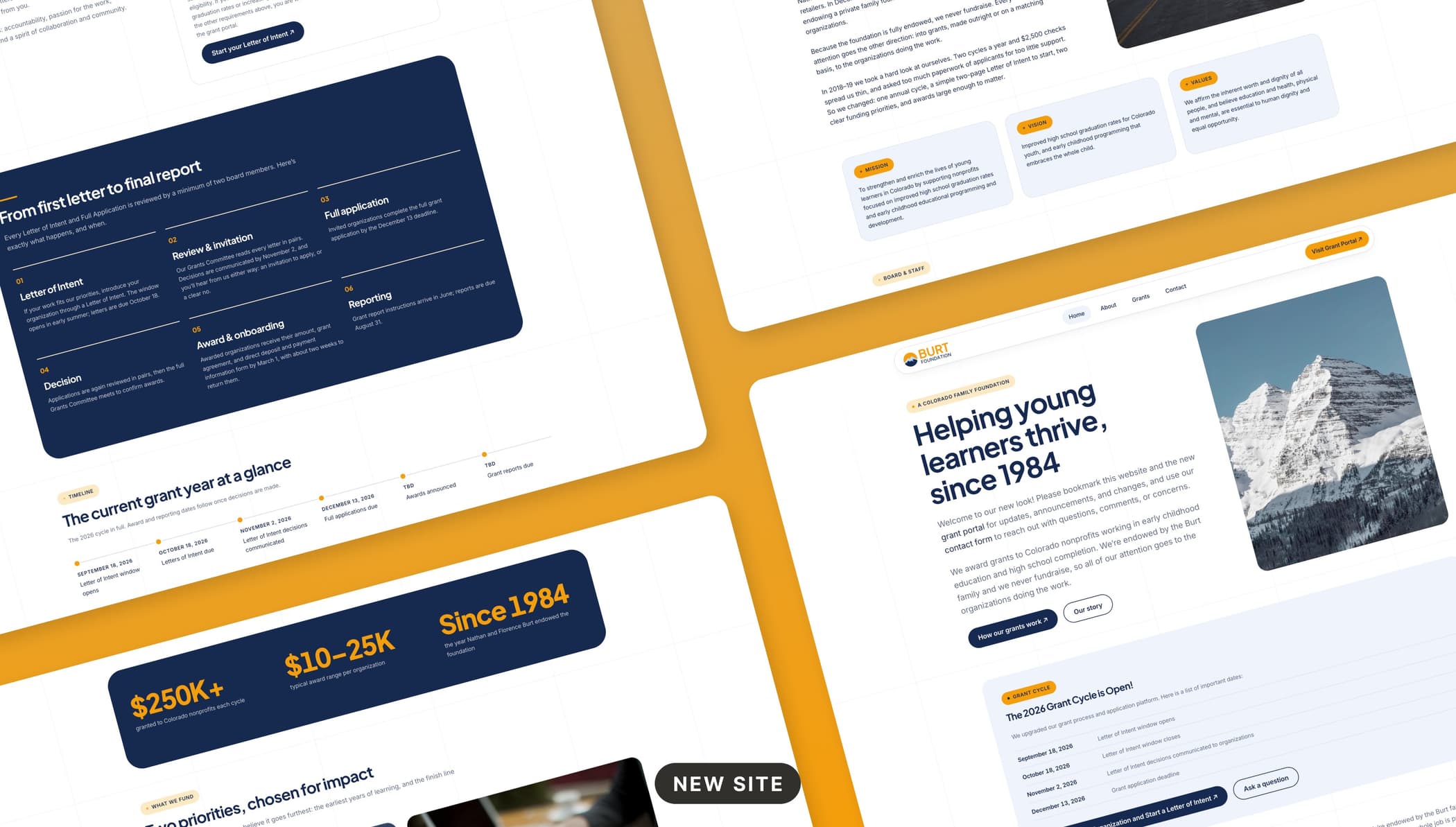 Angled array of the finished site: home, grants, about, and the process and timeline sections